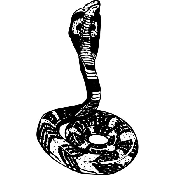 SNAKE006 Thumbnail