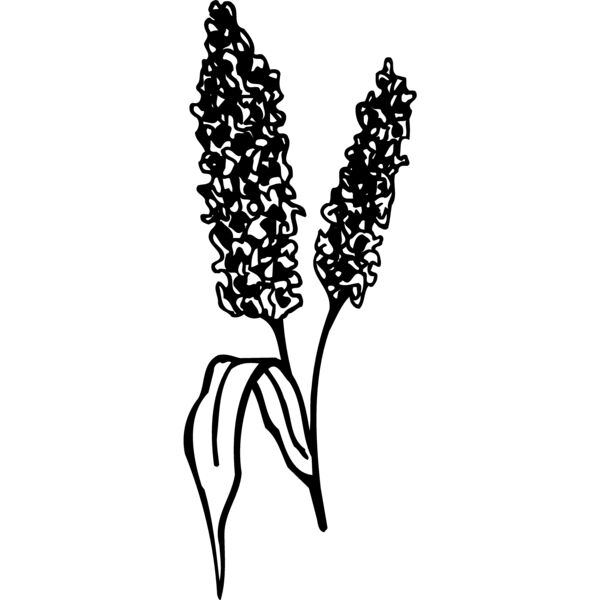 GRAIN011 Thumbnail