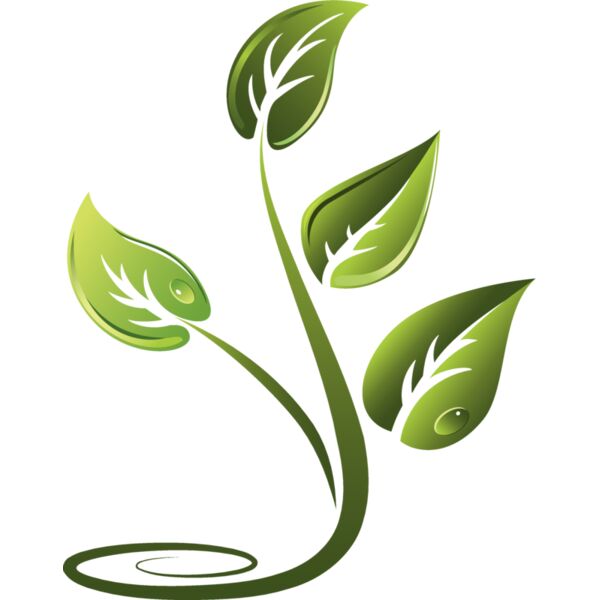 Green5 Thumbnail