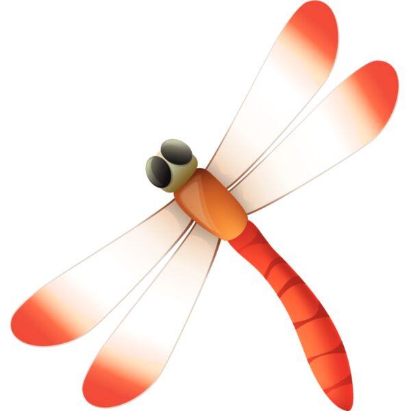 Insects2 Thumbnail