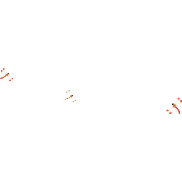 Insects1 Thumbnail