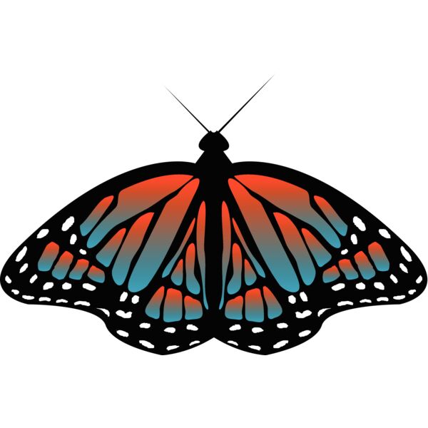 Butterflies65 Thumbnail