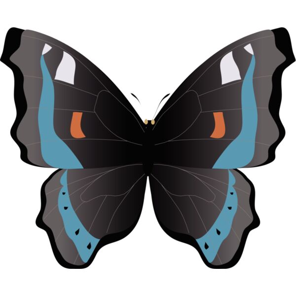 Butterflies74 Thumbnail