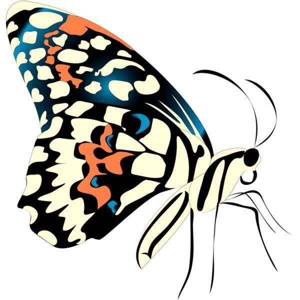 Butterflies44 Thumbnail