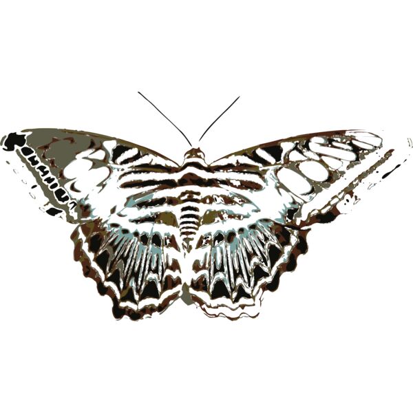 Butterflies23 Thumbnail