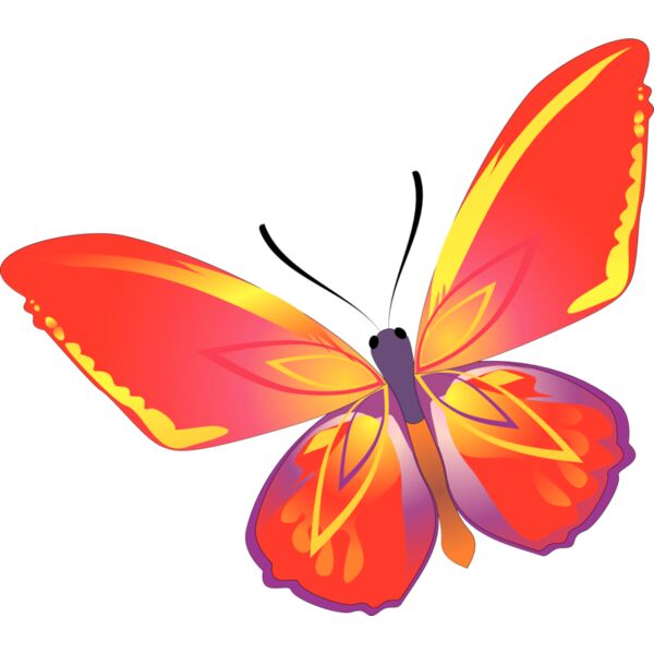 Butterflies43 Thumbnail