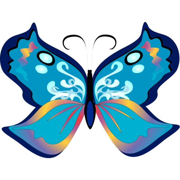 Butterflies34 Thumbnail