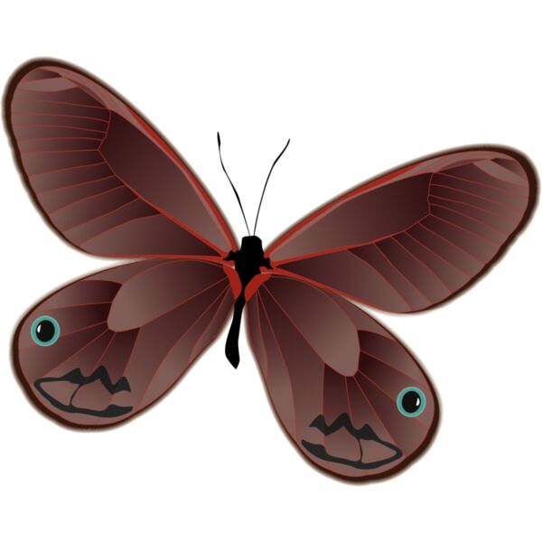 Butterflies8 Thumbnail