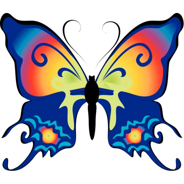 Butterflies29 Thumbnail