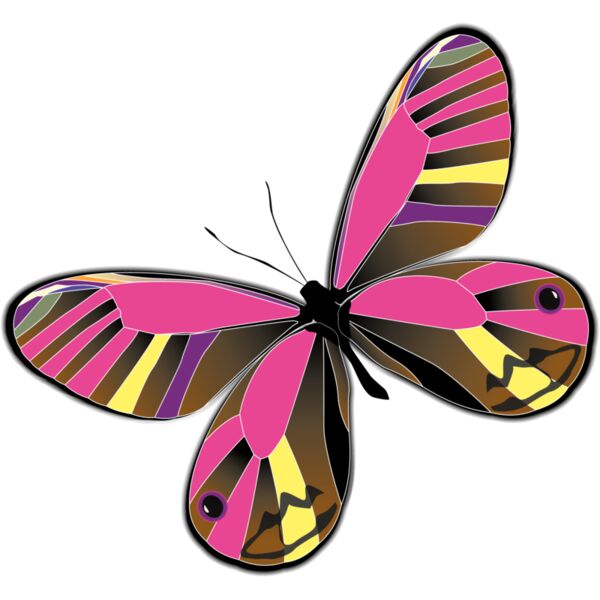 Butterflies12 Thumbnail