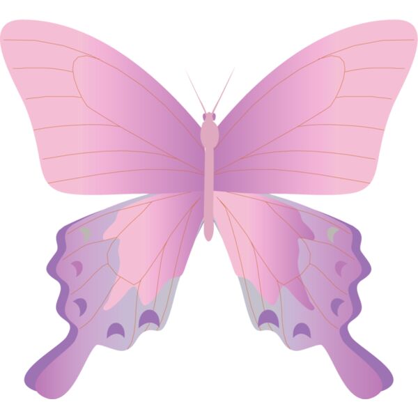 Butterflies77 Thumbnail