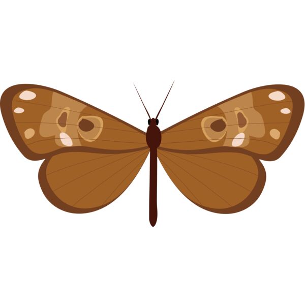 Butterflies81 Thumbnail