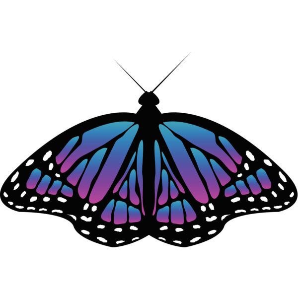 Butterflies67 Thumbnail