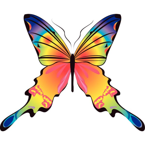 Butterflies36 Thumbnail