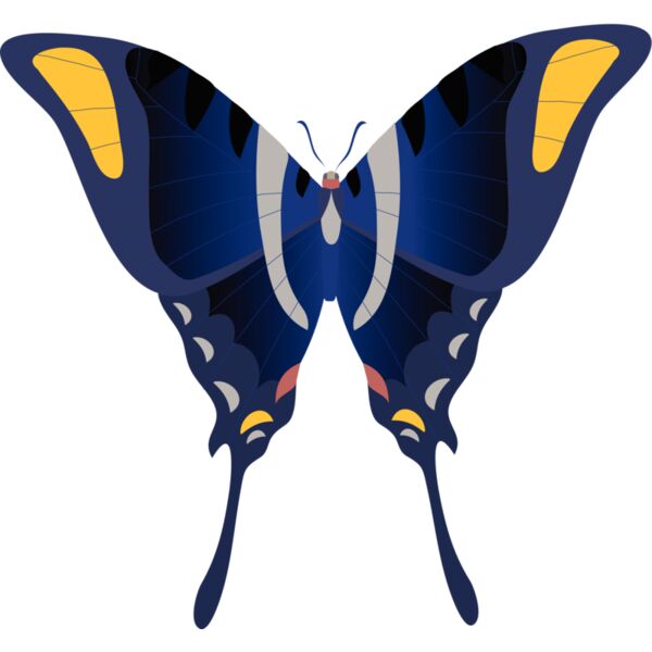 Butterflies50 Thumbnail