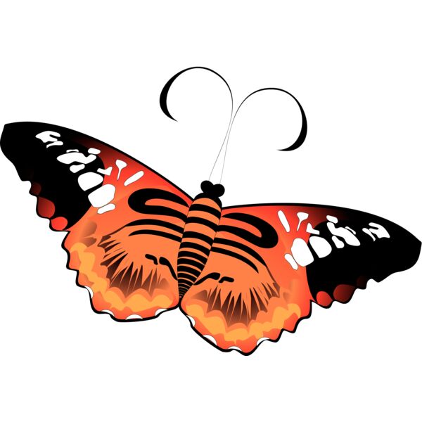 Butterflies45 Thumbnail