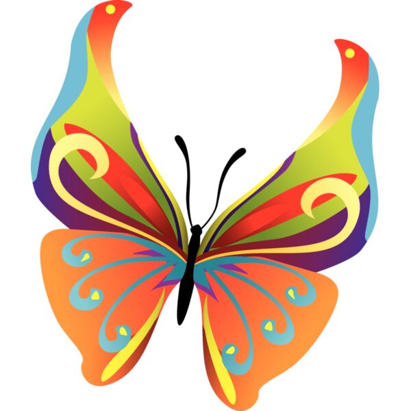 Butterflies14 Thumbnail