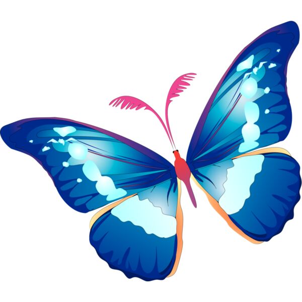 Butterflies40 Thumbnail