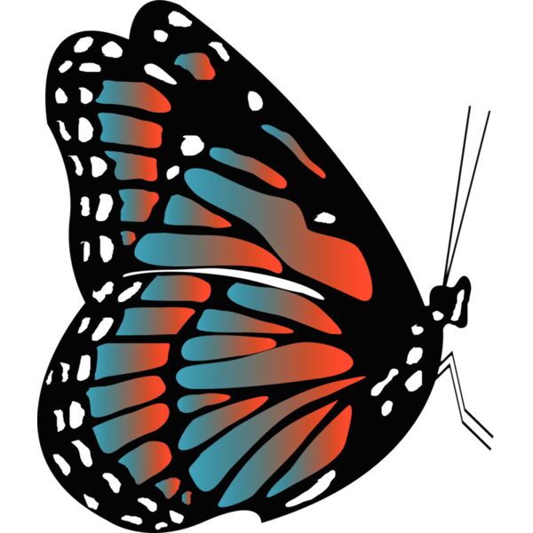 Butterflies60 Thumbnail