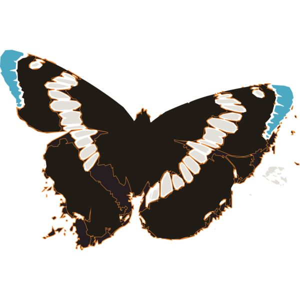 Butterflies25 Thumbnail