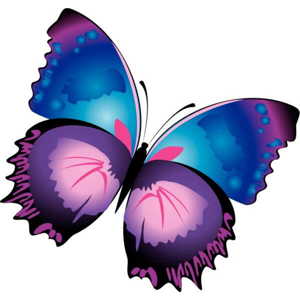 Butterflies30 Thumbnail