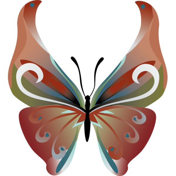 Butterflies4 Thumbnail