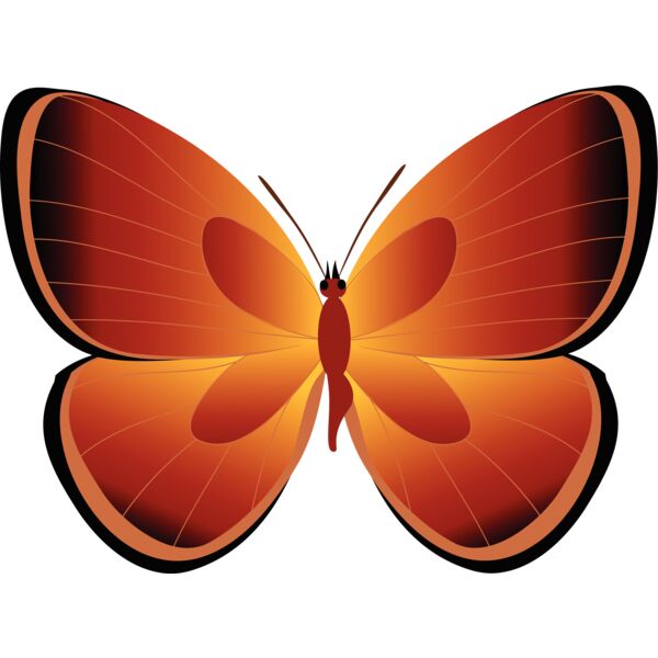 Butterflies78 Thumbnail