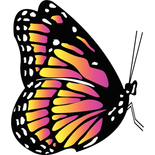 Butterflies59 Thumbnail