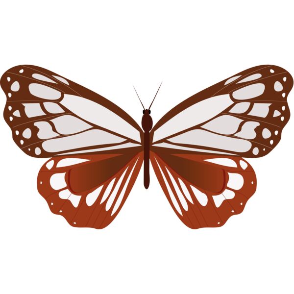 Butterflies79 Thumbnail