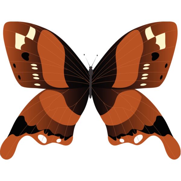 Butterflies73 Thumbnail