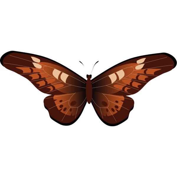 Butterflies53 Thumbnail