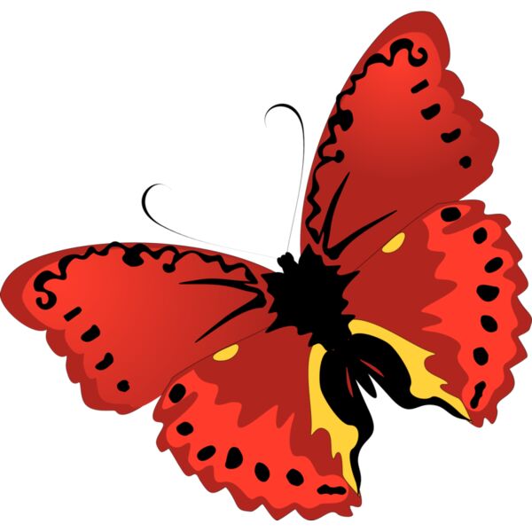 Butterflies28 Thumbnail