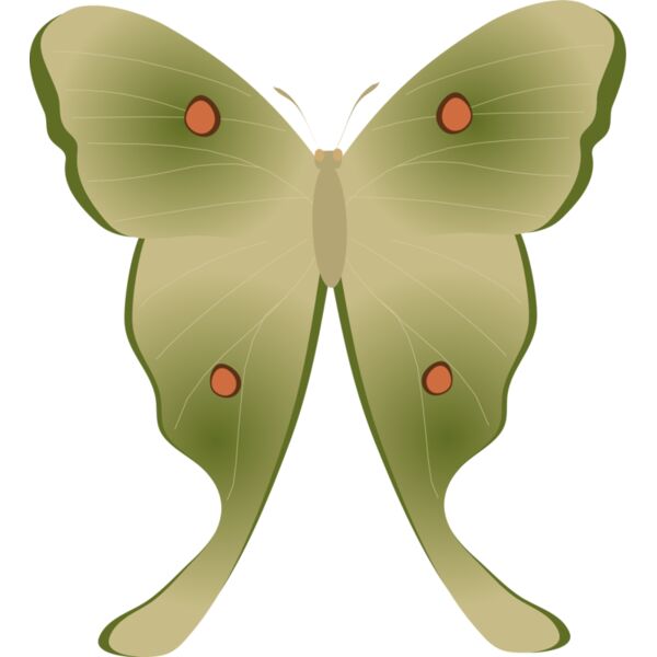 Butterflies51 Thumbnail