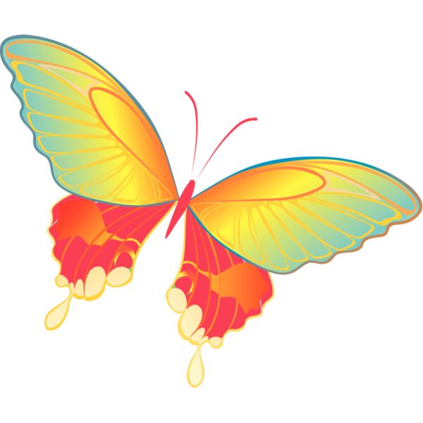 Butterflies21 Thumbnail