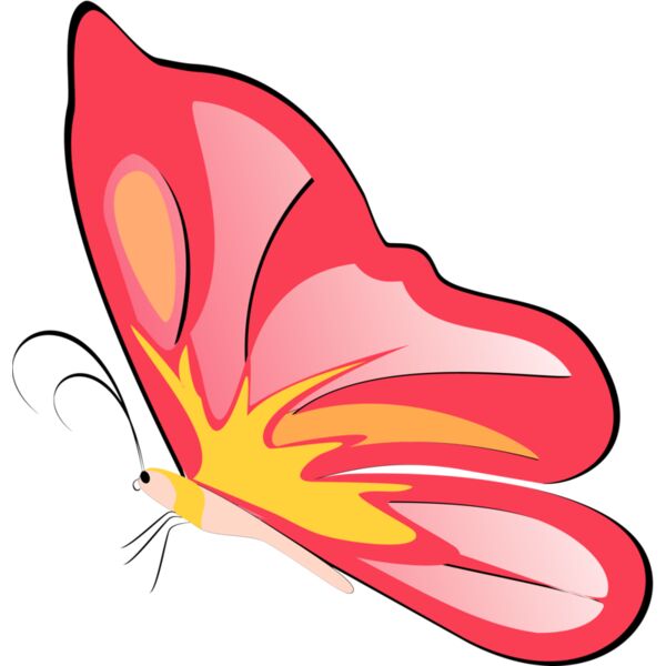 Butterflies32 Thumbnail