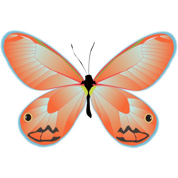 Butterflies11 Thumbnail