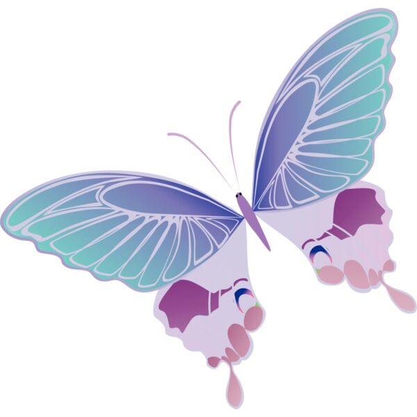 Butterflies20 Thumbnail