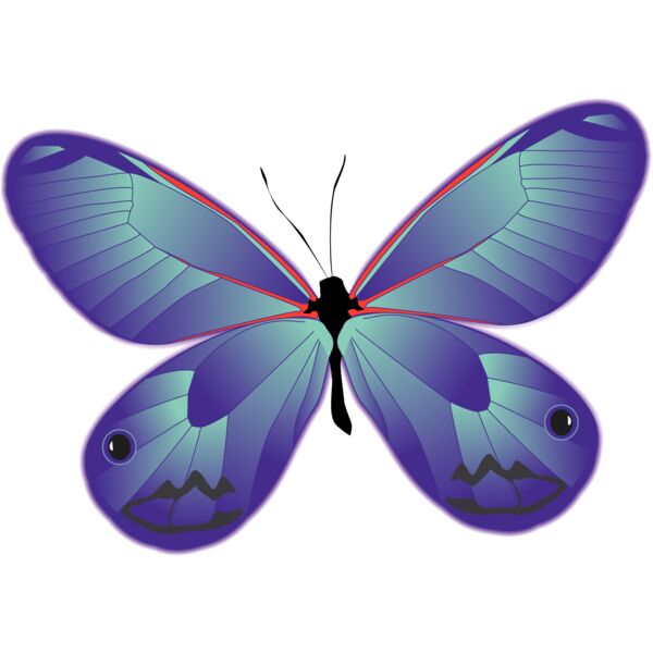 Butterflies10 Thumbnail
