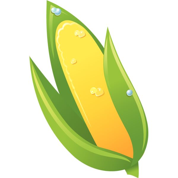 Grain1 Thumbnail