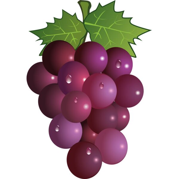 Fruit13 Thumbnail