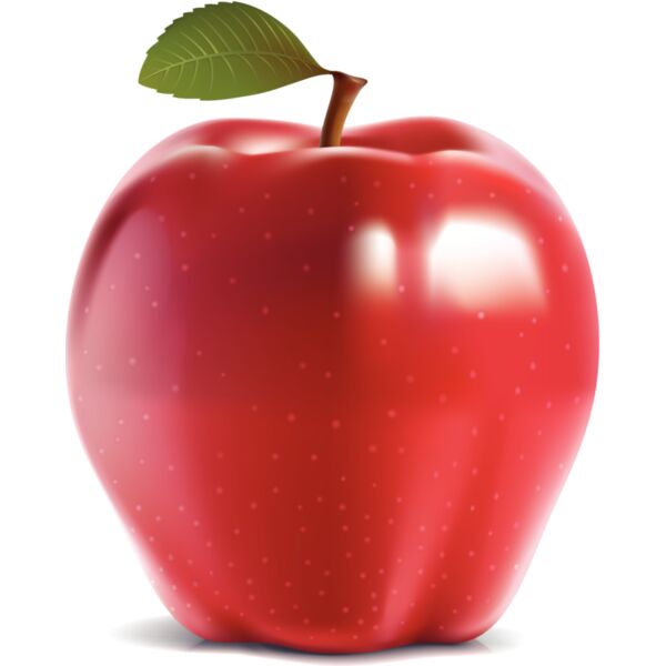 Fruit Thumbnail
