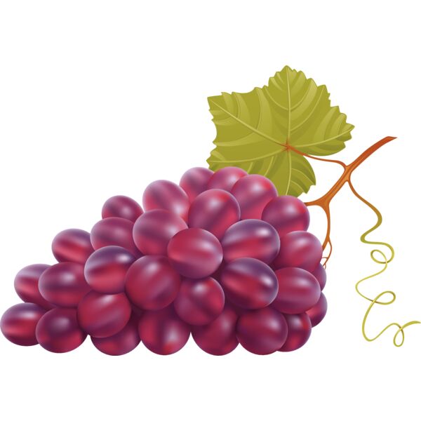 Fruit12 Thumbnail