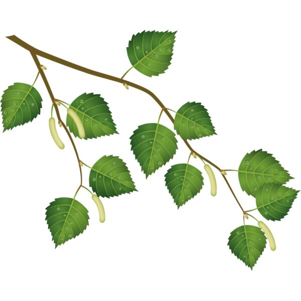 leaves1 Thumbnail