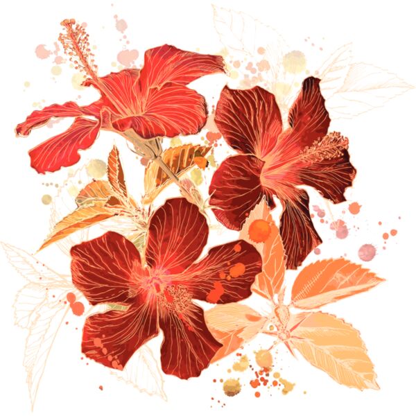 Flowers16 Thumbnail
