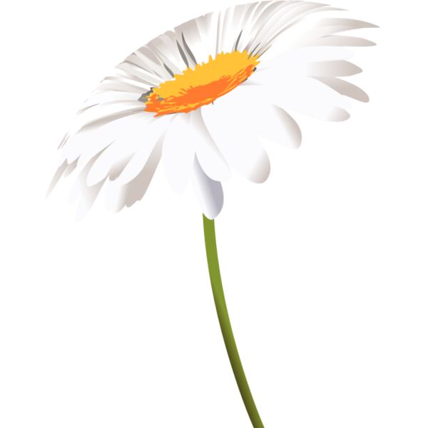 Flowers32 Thumbnail