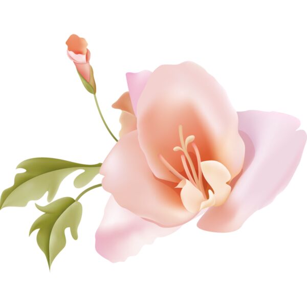 Flowers24 Thumbnail