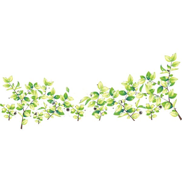 leaves4 Thumbnail