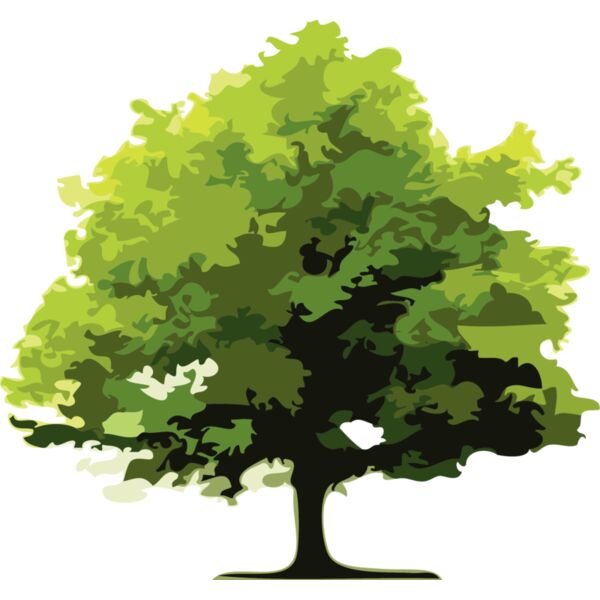 Trees13 Thumbnail