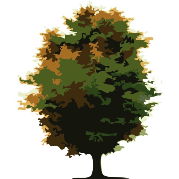 Trees16 Thumbnail