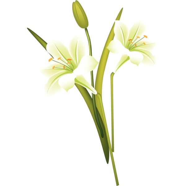 Flowers28 Thumbnail